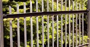Sąsiad chce pieniędzy za ogrodzenie? Oto co mówią przepisy