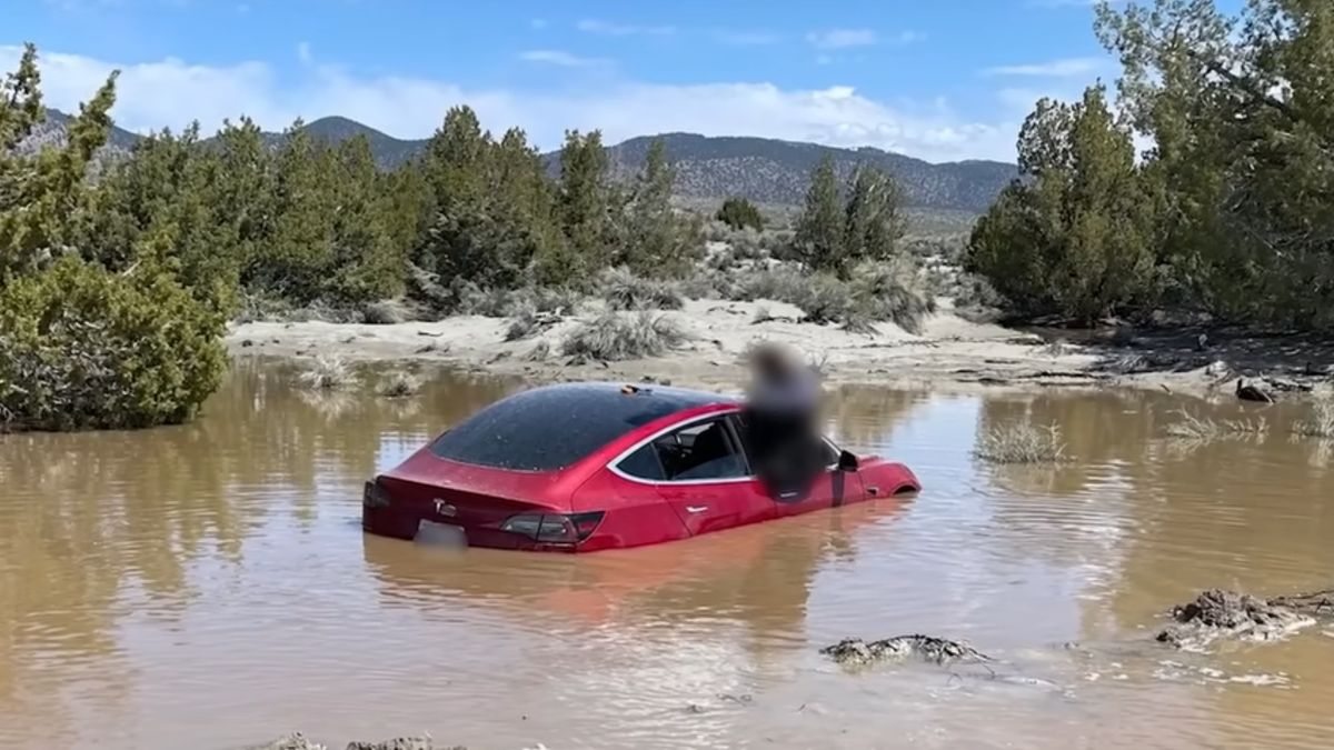 Tesla zjechała z drogi i wpadła do wód powodziowych na poboczu