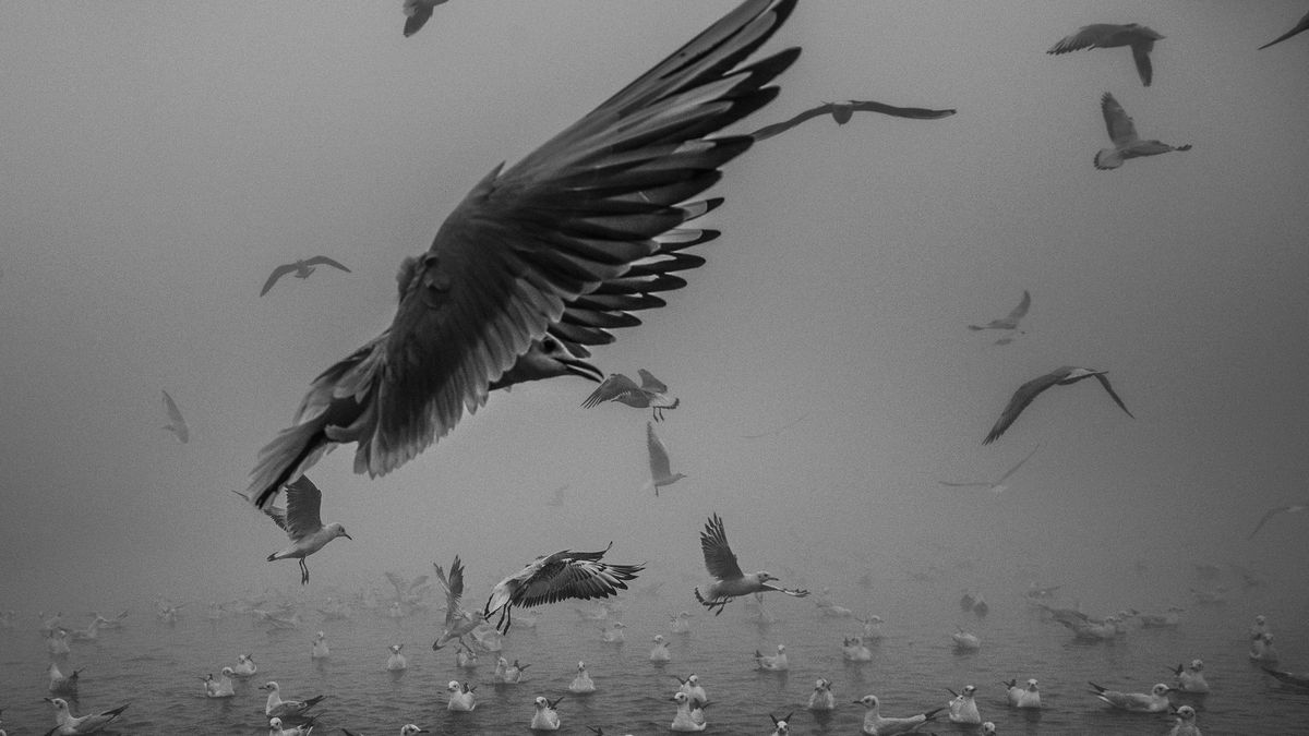 Tam, gdzie życie spotyka się ze śmiercią. Święte miasto Varanasi w obiektywie Szymona Barylskiego 1