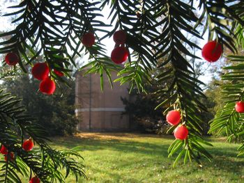 Ta atrakcja przeżywa oblężenie. Apelują o zmiany terminów wizyt