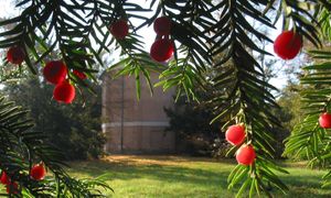 Ta atrakcja przeżywa oblężenie. Apelują o zmiany terminów wizyt