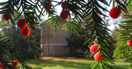 Przeżywają oblężenie. Mają apel do turystów. Lepiej poza weekendami