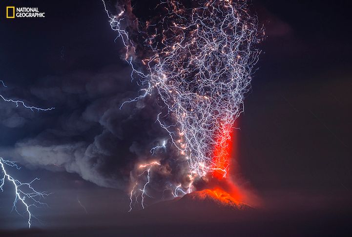 National Geographic Photo Contest 2015 - galeria pierwszych imponujących zdjęć zgłoszonych do konkursu 10