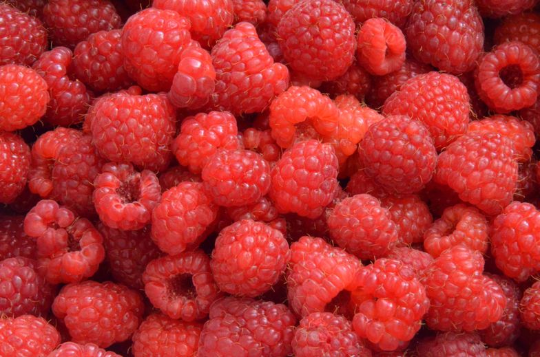 Maliny w tym roku będą drogie. Wszystko przez dżemy i Niemców