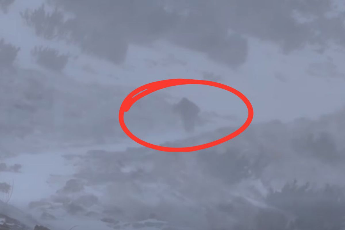 Zamiecie w Tatrach. Kamery uchwyciły to na szlaku