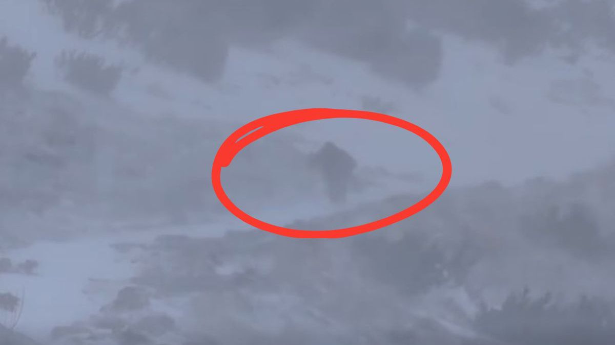 Mroźny żywioł w górach. Wideo "Tatromaniaka" obiegło sieć