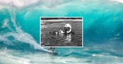 Legendarny fotograf surferów nie żyje. Zanim zmarł, nagrał swoją ostatnią falę