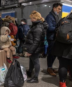 Польський блогер прирівняв українців з собаками, яких треба розстрілювати