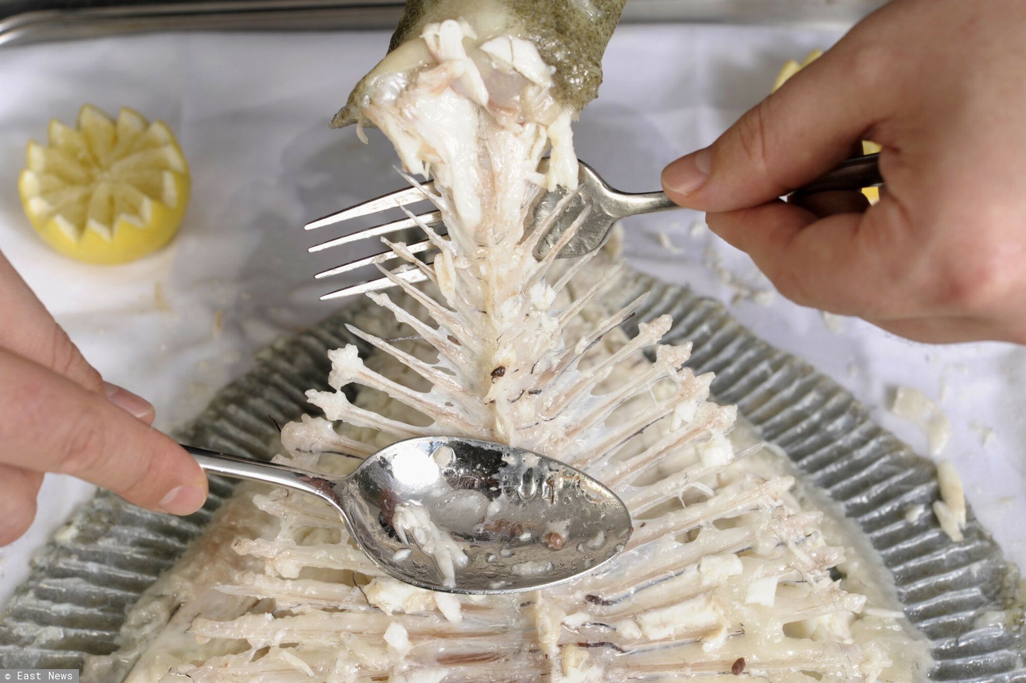 Sucre Sale Bistro initial batch May 2012Filleting a poached turbot