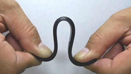 Ziemniaki, sperma łososia, tapioka - przyszłością komórek? 5