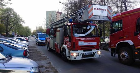 Zostawił potrawę w piekarniku i wyszedł. Omal nie doszło do tragedii. W środku mieszkania był pies [ZDJĘCIA]