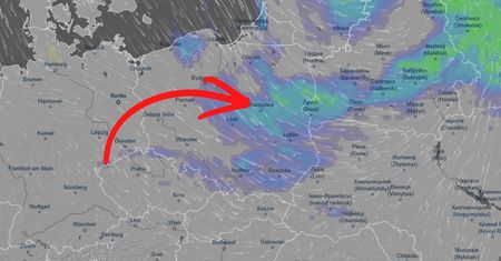 Już 26 kwietnia. Przyjdą do Polski. Synoptycy ogłaszają