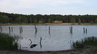 Włocławek: Upalny piątek. Tłumy nad jeziorem Czarnym