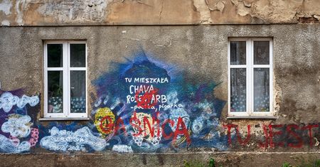 Ktoś zniszczył mural na łódzkich Bałutach. "Gaśnica"