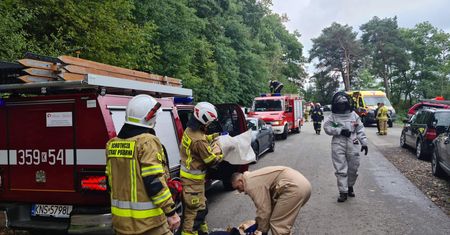 8 osób ukąszonych. Dramat na pielgrzymce w Małopolsce