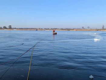 Padło 50 łabędzi. Dramatyczne odkrycie w Wielkopolsce