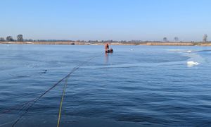 Padło 50 łabędzi. Dramatyczne odkrycie w Wielkopolsce