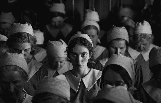 Lava Films rozwija dział telewizyjny