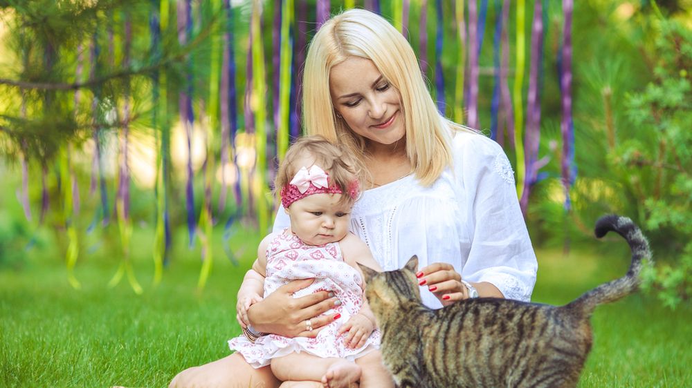 Niemowlę a kot