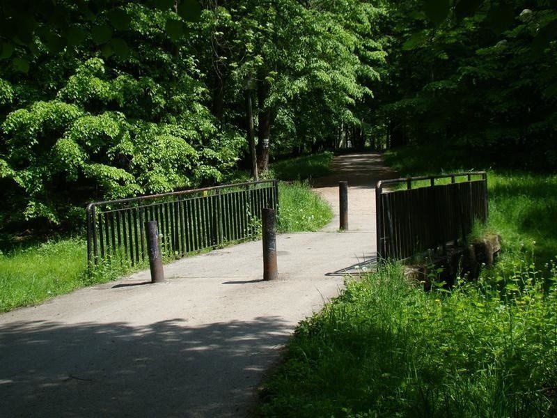 W Oświęcimiu walkę z komarami rozpoczęto od 2002 roku i prowadzona jest regularnie.