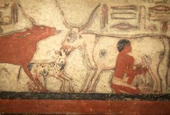 Niezwykłe odkrycie w Egipcie. Archeolodzy odsłonili trzy grobowce z okresu Nowego Państwa