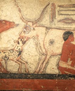 Niezwykłe odkrycie w Egipcie. Archeolodzy odsłonili trzy grobowce z okresu Nowego Państwa