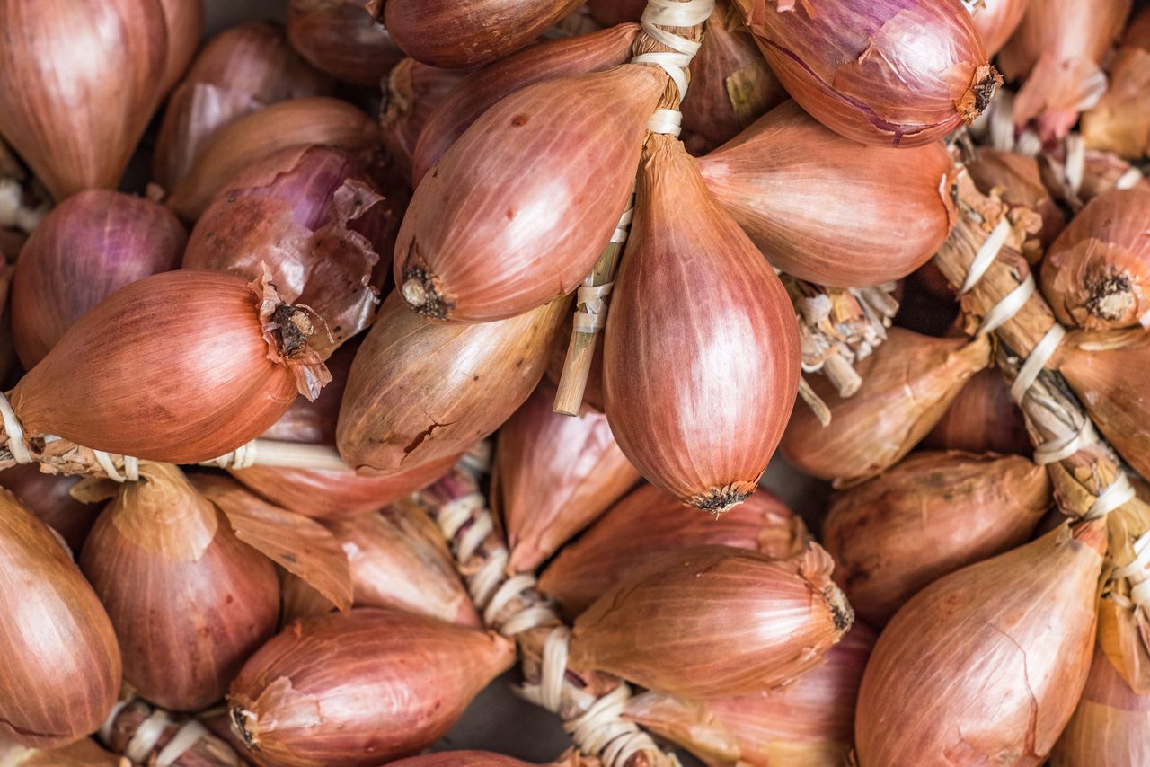 Obniża cholesterol, zbija wysoki cukier. Szukaj w spożywczaku obok cebuli