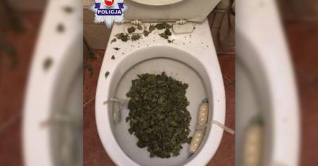 Gdy policja zapukała do jego drzwi, próbował spuścić marihuanę w toalecie
