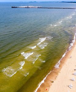 Sinice w Bałtyku. Ekspert: w tym roku wypada wzmożony wykwit