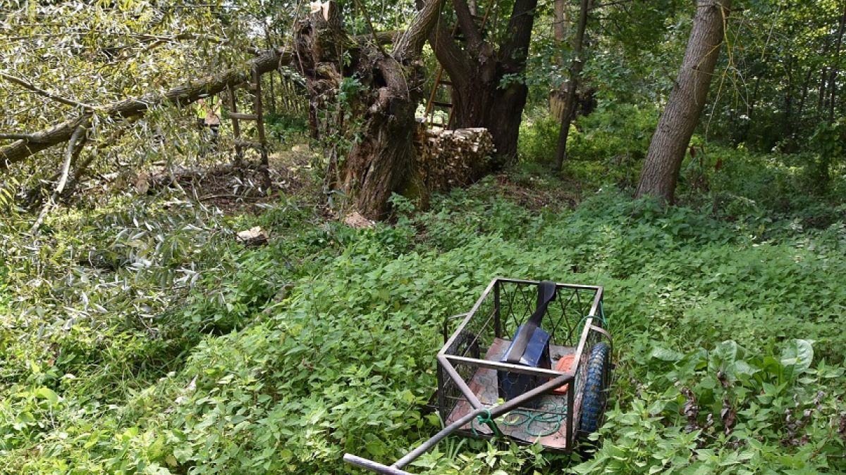 Senior poniósł śmierć na miejscu