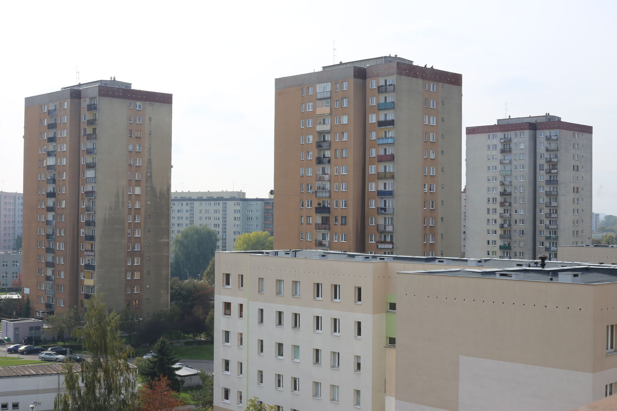 Canon EF 50 mm f/1.8 STM - niedroga przepustka do poważnej fotografii [recenzja] 70