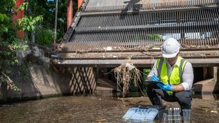 Monitoring środowiska w miastach