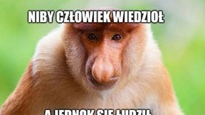 Liga Europy. "Ciao Legio". Zobacz memy po porażce Wojskowych