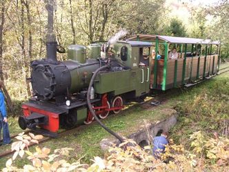 Bieszczady: Kolejka leśna święci triumfy. Setki chętnych do przejażdżki