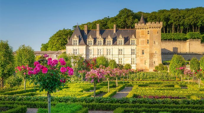 Najdziksze ostępy Europy