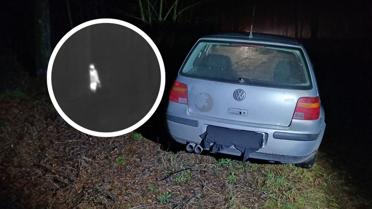 Nielegalny wyręb drzew. Kara będzie surowa