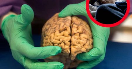 Mózg ci podziękuje. Spowolnisz jego starzenie i podkręcisz pracę