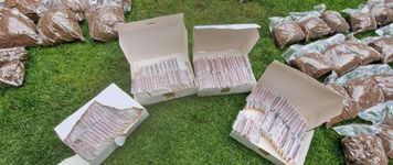 Nielegalna krajalnia tytoniu pod Nidzicą. Zabezpieczono 13 ton suszu i sprzęt do produkcji