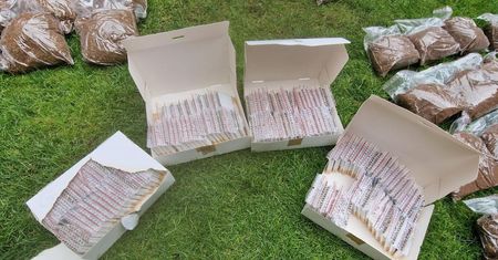 Nielegalna krajalnia tytoniu pod Nidzicą. Zabezpieczono 13 ton suszu i sprzęt do produkcji