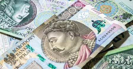 "Pierwsza rzecz do ścięcia". Jasny plan na 500 plus