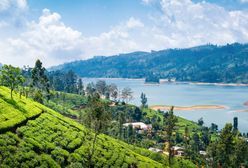 Zielone plantacje herbaty, poławiacze ryb w Ahangamie i świątynie skalne w Dambulli. Witajcie na Sri Lance