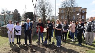 Jest biblioteka, a będzie roślinoteka. Pleszew z zupełnie nowym miejscem
