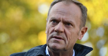 Bunt w Platformie?! Senator o Tusku: Jest obciążeniem