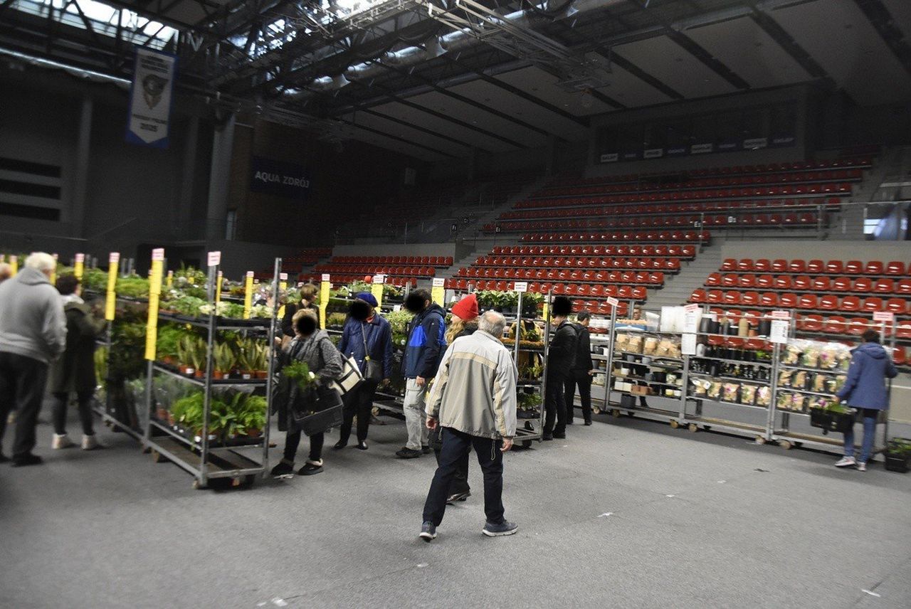 Wałbrzych: Festiwal Roślin ponownie. W Aqua Zdroju można podziwiać i kupić piękne rośliny