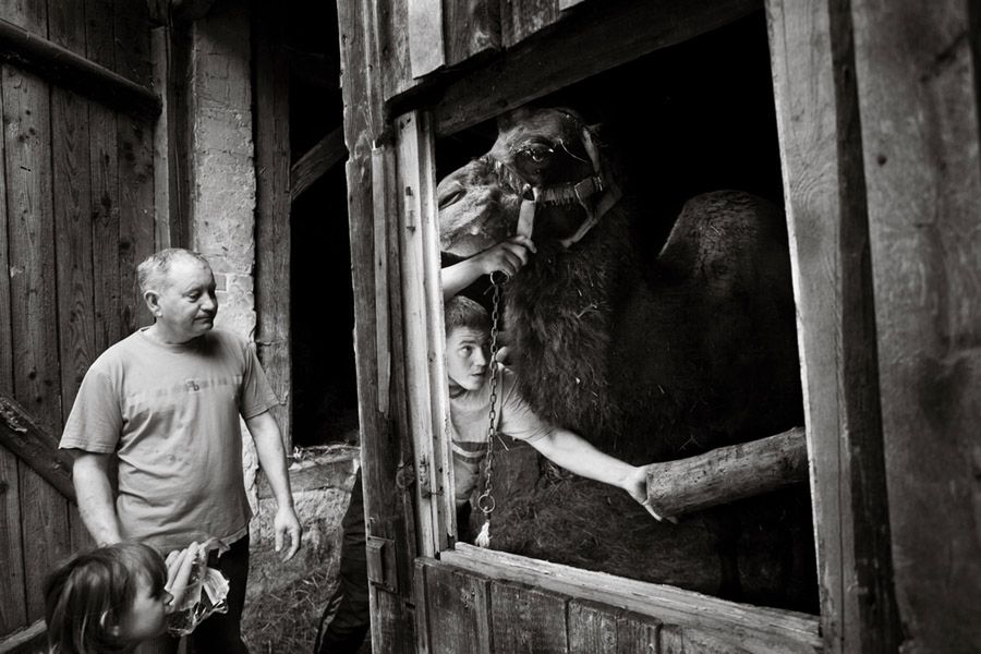 Polacy wśród zwycięzców prestiżowego International Photographer of the Year 2016 23