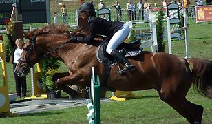 Zawody Konne w Skokach przez Przeszkody