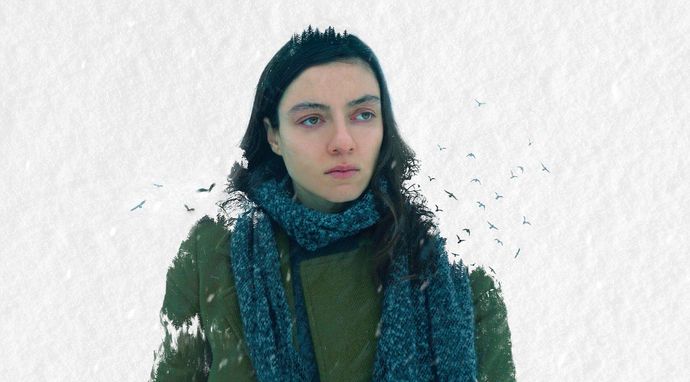 Niedźwiedzia przysługa