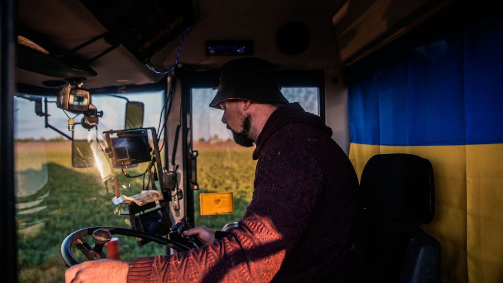 Pracownik obsługuje kombajn do zbioru marchwi w okolicach Lwowa