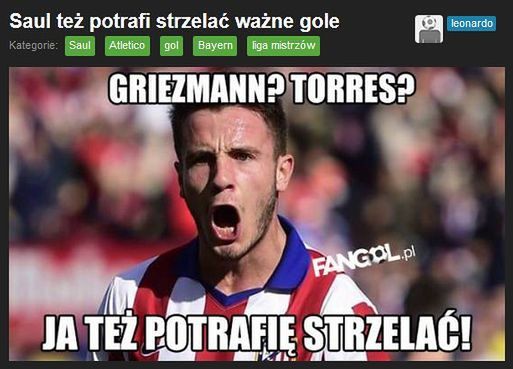 Fot. fangol.pl