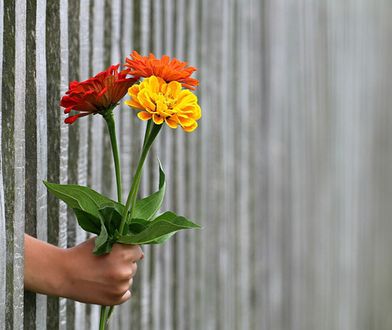 Walentynkowe pomysły na prezenty dla dziewczyny - jak wybrać najlepszy?